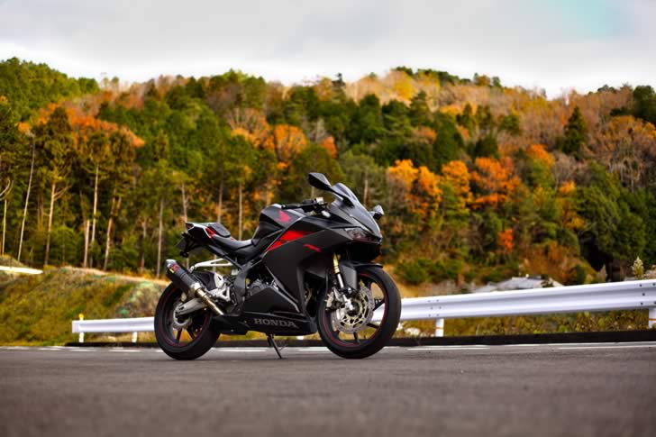 CBR250RRと紅葉