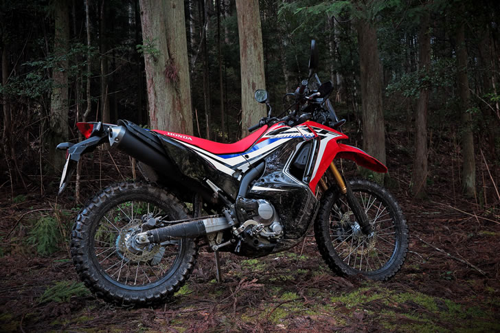 CRF250RALLY