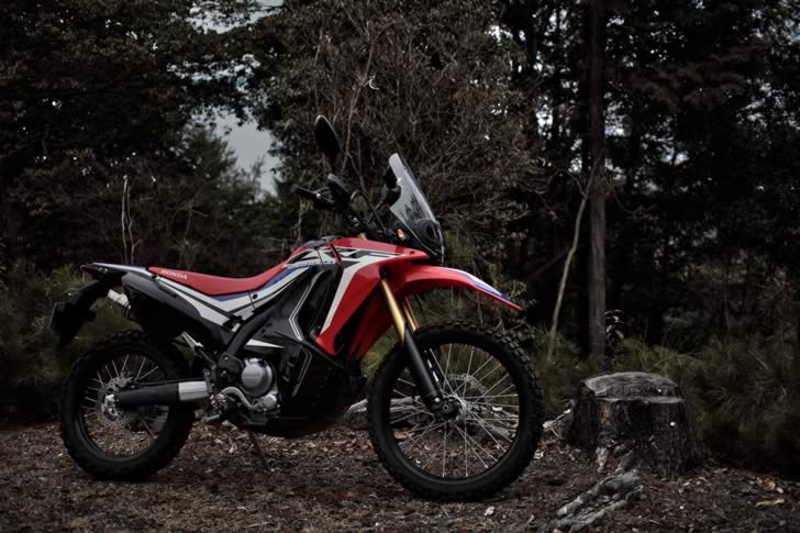 CRF250RALLY