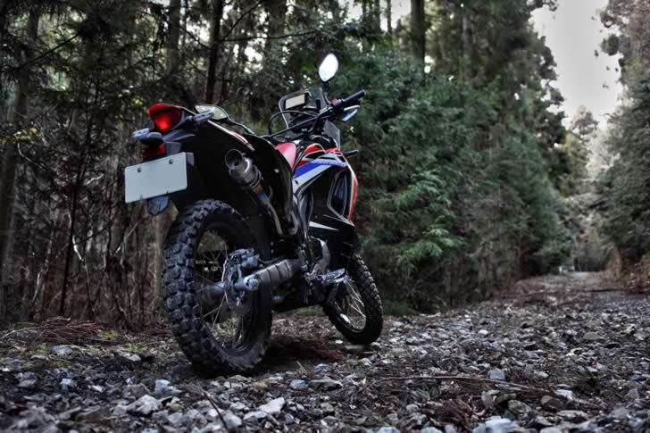 CRF250RALLY